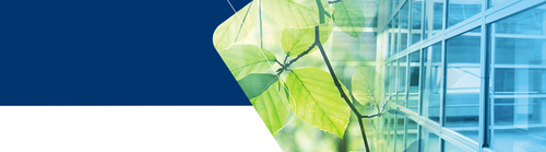 Sustainable Finance