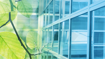 Sustainable Finance