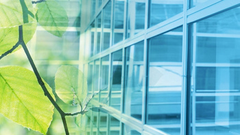 Sustainable Finance