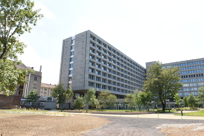Syngenta