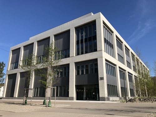 Roche LSL